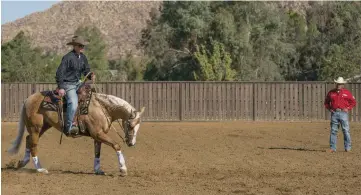  ??  ?? Upgrading your horse is exciting and can be fun, but it’s also a big step in your riding game. Carefully consider these six questions before you run out and buy more horse than you’re ready to handle.