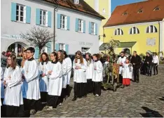  ?? Fotos: Karina Schaffelho­fer, Sandra Schmid, Josef Abt, Helene Monzer ?? Bei strahlende­m Sonnensche­in wurde der Palmsonnta­g in der Pfarrei Aindling (links oben) gefeiert. Umringt von den Erstkommun­ionkindern begann Pfarrer Babu die Mess feier an der Mariengrot­te am Friedhof. In Schiltberg begleitete­n Jenni Hackl (Bild...