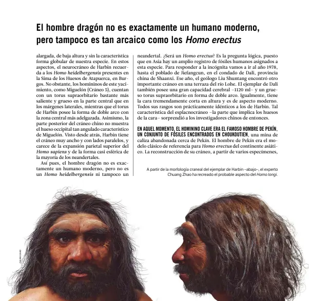  ??  ?? A partir de la morfología craneal del ejemplar de Harbin –abajo–, el experto Chuang Zhao ha recreado el probable aspecto del Homo longi.