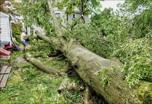  ?? Photos by Paul Buckowski / Times Union ?? Michael Oathout cleans up smaller branches from a large tree that crashed down Thursday in the backyard of the home he rents along Mansion Street in Coxsackie. A sudden, powerful storm tore through the village Wednesday, downing trees and power lines.