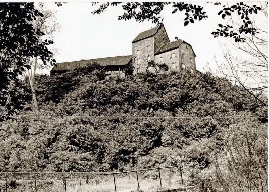  ?? FOTO: STADTARCHI­V ?? Eine trutzige Burg am Steilhang: Gräfgenste­in wird im Jahr 1254 erstmals urkundlich erwähnt. Seit drei Jahren steht das Anwesen leer.