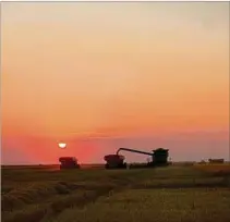  ?? ?? TERCERA. Las últimas tres zafras promediaro­n encima de 9.000 kg