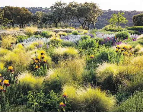  ??  ?? Spanish designer Fernando Martos adds bearded iris to the tapestry of a garden in central Spain.