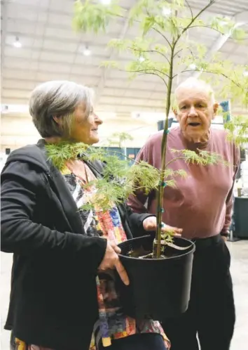  ?? STAFF PHOTOS BY ROBIN RUDD ?? Francine Schauwezke­r, left, of Hixson, talks Sunday to Ralph Summers of R&S Gardens of Cleveland, about one of the many rare trees Summers had at the 5th annual Master Your Garden Garden Expo at Camp Jordan Arena.