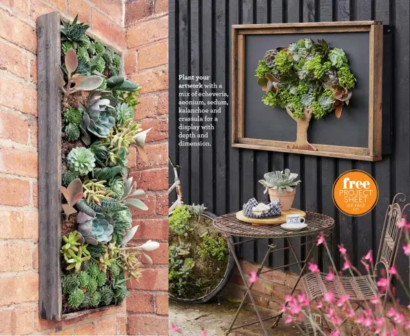  ??  ?? Plant your artwork with a mix of echeveria, aeonium, sedum, kalanchoe and crassula for a display with depth and dimension.