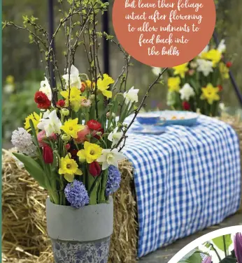  ??  ?? Make the most of your spring flowering plants and create a rustic display for your mantle or dining table
Now’s the time to plant hardy summer flowering bulbs and corms outside, such as Oriental lilies and Crocosmia, for colour later in the season