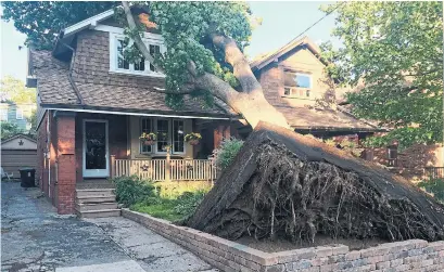  ?? TAMAR HARRIS/TORONTO STAR ?? A tree was uprooted in front of an Upper Beaches home during Wednesday’s storm, which wreaked havoc on the neighbourh­ood.