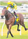  ?? Picture: AAP IMAGE ?? Blue Book wins on debut at Doomben.