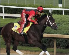  ?? GARRY JONES — THE ASSOCIATED PRESS ?? Exercise rider Martin Rivera gallops Kentucky Derby hopeful Classic Empire at Churchill Downs in Louisville, Ky., Wednesday.