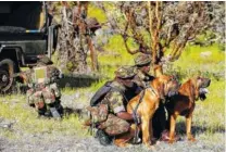  ?? PHOTO BY DANNY WILCOX FRAZIER VII FOR COSMIC PICTURE LIMITED ?? Twin bloodhound brothers Tipper and Tony protect endangered rhinos and elephants in the Lewa Wildlife Conservanc­y in Kenya.