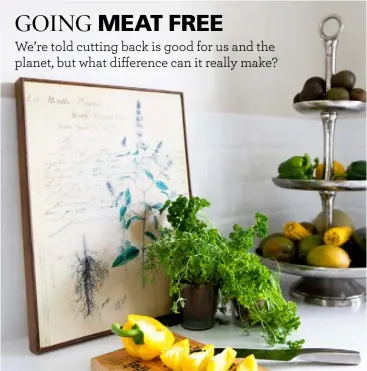  ??  ?? Annabelle Randles, the founder of food blog The Flexitaria­n, suggests how we can reduce the amount of meat we eat – even at Christmas