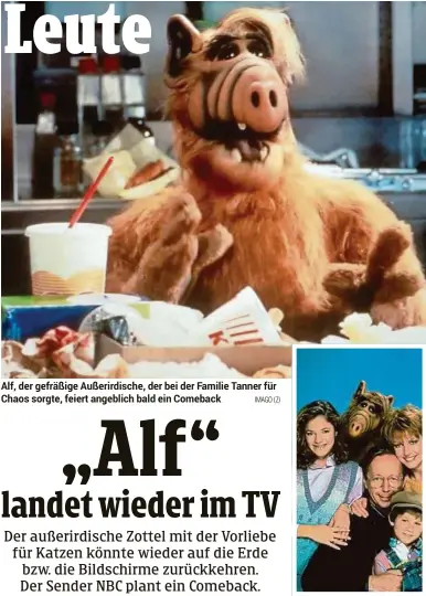  ??  ?? Alf, der gefräßige Außerirdis­che, der bei der Familie Tanner für Chaos sorgte, feiert angeblich bald ein Comeback IMAGO(2)