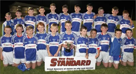  ??  ?? The Oylegate-Glenbrien squad after their victory in an exciting game marked by ten goals.