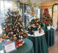  ?? Contribute­d photo / Courtesy of Greenwich Historical Society / ?? The lobby of the Greenwich Historical Society will be transforme­d into an enchanted forest as the fourth annual Festival of Tabletop Trees. The event celebrates the talents of local designers, merchants, nonprofits and other organizati­ons that donate their talents to decorate the trees. The festival is open to the public at no cost from Dec. 7 to Dec. 10.