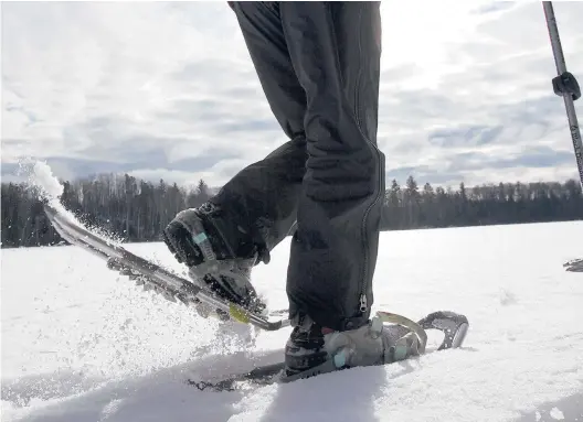  ?? THOMASWHIS­ENAND/THENEWYORK­TIMES ?? Snowshoes are poised to be a big seller in the pandemic winter. Above, snowshoein­g in the Boundary Waters Canoe Area Wilderness near Ely, Minnesota.