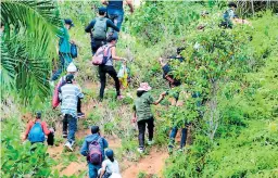  ??  ?? VIAJE. Hondureños intentan cruzar ilegalment­e en Corinto, Omoa.