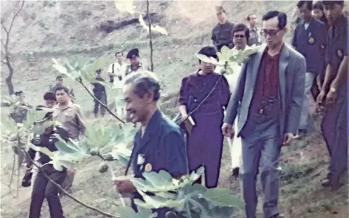  ??  ?? THE PROMISED LAND: His Majesty the King and HRH Princess Maha Chakri Sirindhorn inspect the Royal Project’s fig experiment­al plots in Doi Inthanon, Chiang Mai. They are closely followed by ML Charuphant Thongtham, who has been a volunteer researcher...