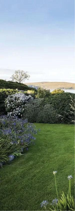  ??  ?? Right On the loch side of the garden evergreen Olearia shrubs have been planted at the perimeter of the garden to screen the deer fence. So that the shrubs do not obscure the view they are clipped low, their rounded hummocks echoing the distant hills. Because of the high rainfall and mild weather, growth is lush and plants that are often slow to spread, such as Hyloteleph­ium spectabile and the agapanthus on the left, soon form large colonies.