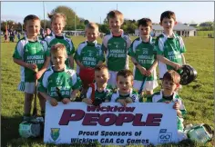  ??  ?? The Avondale under-7s at the Carnew Emmets Go Games blitz.