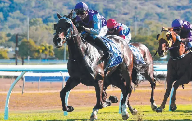  ?? Picture: EVAN MORGAN ?? IMPRESSIVE Jockey Les Tilly rides Royal Atom to victory in the Townsville Amateurs Cup Open.