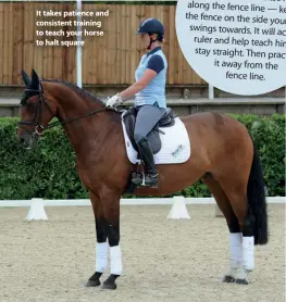  ??  ?? It takes patience and consistent training to teach your horse to halt square