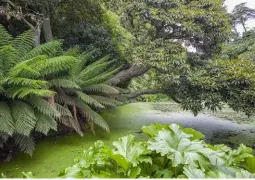  ??  ?? Le domaine de Heligan, qui appartient à la famille Tremayne depuis le xvie siècle, a été laissé à l’abandon après la Première Guerre mondiale. Reconstitu­é d’après les plans d’origine, il renaît en 1990. Ici, nous sommes dans la partie sauvage, aux...