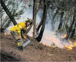  ?? A. GUTIÉRREZ (GETTY) ?? Un bombero forestal, en Tenerife en agosto.