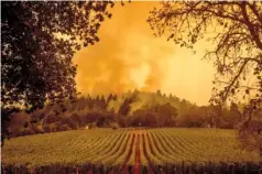  ?? AP PHOTO/ NOAH BERGER ?? On Sept. 28, smoke rises over a vineyard as the Glass fire burns in Calistoga, Calif.