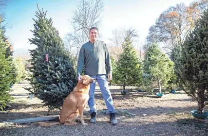  ?? ARIEL COBBERT/THE COMMERCIAL APPEAL ?? Spencer Priddy and his dog Taz stand next to Christmas trees for sale at Priddy Farms in Arlington on Tuesday.