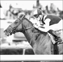  ?? LAUREN KING/COGLIANESE PHOTOS ?? Multiple graded stakes winner Sadler’s Joy is preparing for a start in the Grade 2 Bowling Green on July 28 at Saratoga.