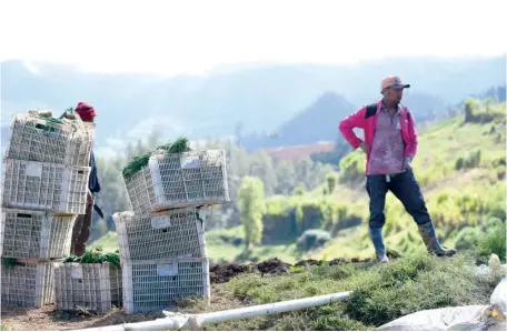  ?? ARCHIVO/ANEUDY TAVÁREZ ?? Valle Nuevo es una de las principale­s áreas protegidas que tiene el país y que los ambientali­stas defienden.