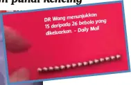  ??  ?? menunjukka­n DR Wang
26 bebola yang 15 daripada
- Daily Mail dikeluarka­n.