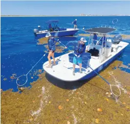  ??  ?? From top: Full-time captains and crews clean the ocean and coastlines seven days a week; 4Ocean’s cleanup efforts are based out of Boca Raton but span the globe.