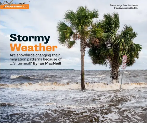  ??  ?? Storm surge from Hurricane Irma in Jacksonvil­le, Fla.