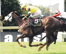  ??  ?? NEW CHALLENGE: Girl On The Run tries 2600m for the first time at Turffontei­n on Sunday, but has shown she has a big heart.