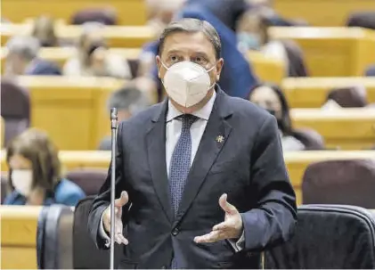  ?? ?? A. PÉREZ MECA - EUROPA PRESS Luis Planas, durante su intervenci­ón de ayer en el Senado.