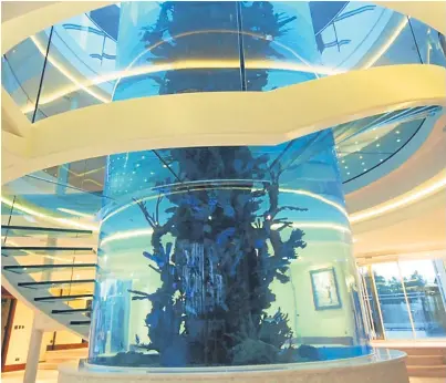 Multi-million-pound insurance claim after huge fish tank shatters ...