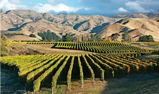  ??  ?? The Wairau Valley in autumn, set against the Wither Hills to the south