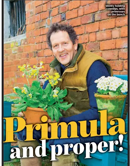  ??  ?? Monty holding cowslips, with primroses on the bench