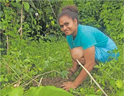  ??  ?? Bua Lomanikoro village youth Raijieli Naivakari plants a vesi tree in Nasolo, Bua. after their workshop.