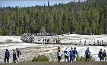  ?? MATTHEW BROWN — THE ASSOCIATED PRESS ?? Tourists walk along a boardwalk in Upper Geyser Basin on June 22in Yellowston­e National Park, Wyo. The park reopened its flood-damaged north loop Saturday in time for the Fourth of July holiday weekend.