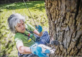  ?? RICARDO B. BRAZZIELL / AMERICAN-STATESMAN ?? Virginia Rose, who has used a wheelchair since age 14, has pulleys in her backyard to hoist up three of her four bird feeders. She’ll take part in Sunday’s Birdathon.