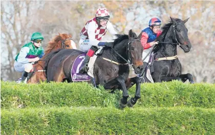  ?? Picture / Trish Dunell ?? Amanood Lad (checks) leads Stainley (right) on his way to winning the McGregor Grant Steeplecha­se.