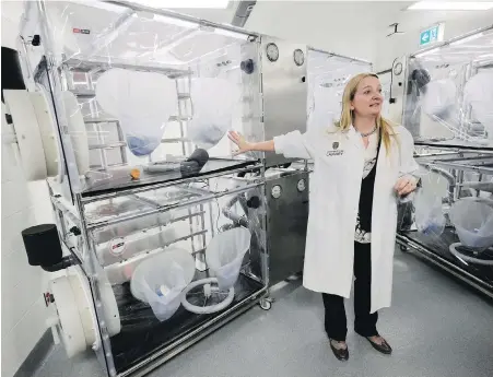  ??  ?? Kathy McCoy, director of the Western Canadian Microbiome Centre, explains the sterile enclosures where mice will live during a tour of the facility in Calgary.