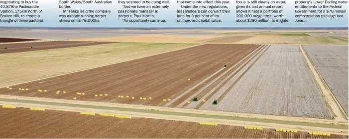  ?? PHOTO: STUART MCEVOY ?? LAST CROP: Webster will harvest its last cotton crop on its Tandou property this season as it moves to expand its sheepmeat production across three stations.