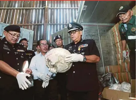  ?? PIC BY EDMUND SAMUNTING ?? Police Commission­er Datuk Omar Mammah and Sabah Wildlife director Augustine Tuuga (centre) with boxes of processed and frozen pangolins seized from a warehouse in Kampung Bontoi, Jalan Tamparuli.