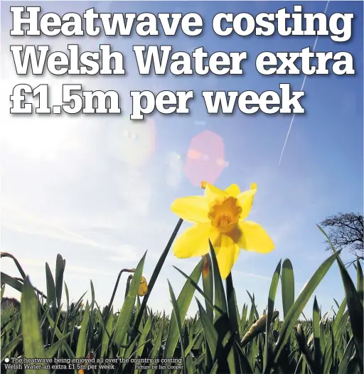  ??  ?? ● The heatwave being enjoyed all over the country is costing Welsh Water an extra £1.5m per week Picture by Ian Cooper