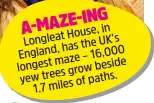  ?? ?? House, in Longleat UK’s has the England, 16,000 maze – beside longest grow yew trees of paths. 1.7 miles