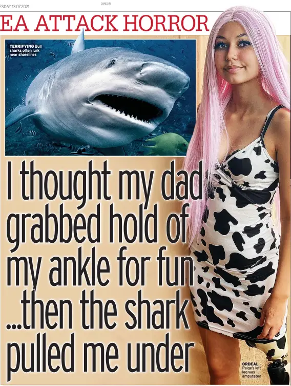  ??  ?? TERRIFYING Bull sharks often lurk near shorelines
ORDEAL Paige’s left leg was amputated