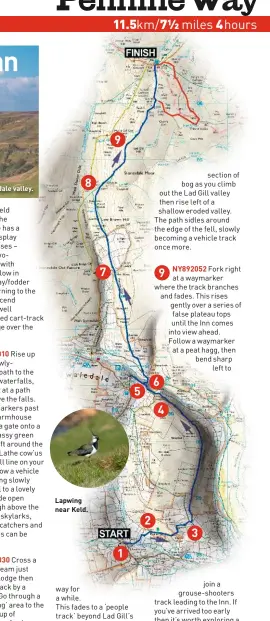  ??  ?? Upper Swaledale valley. 8 Lapwing near Keld. 7 9 1 5 2 4 3 6